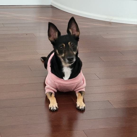 Meet your Posher, Lisa - Picture 1 of 1